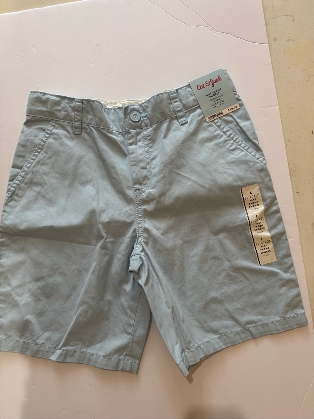 Cat & Jack Light Blue Men’s Flat Front Shorts